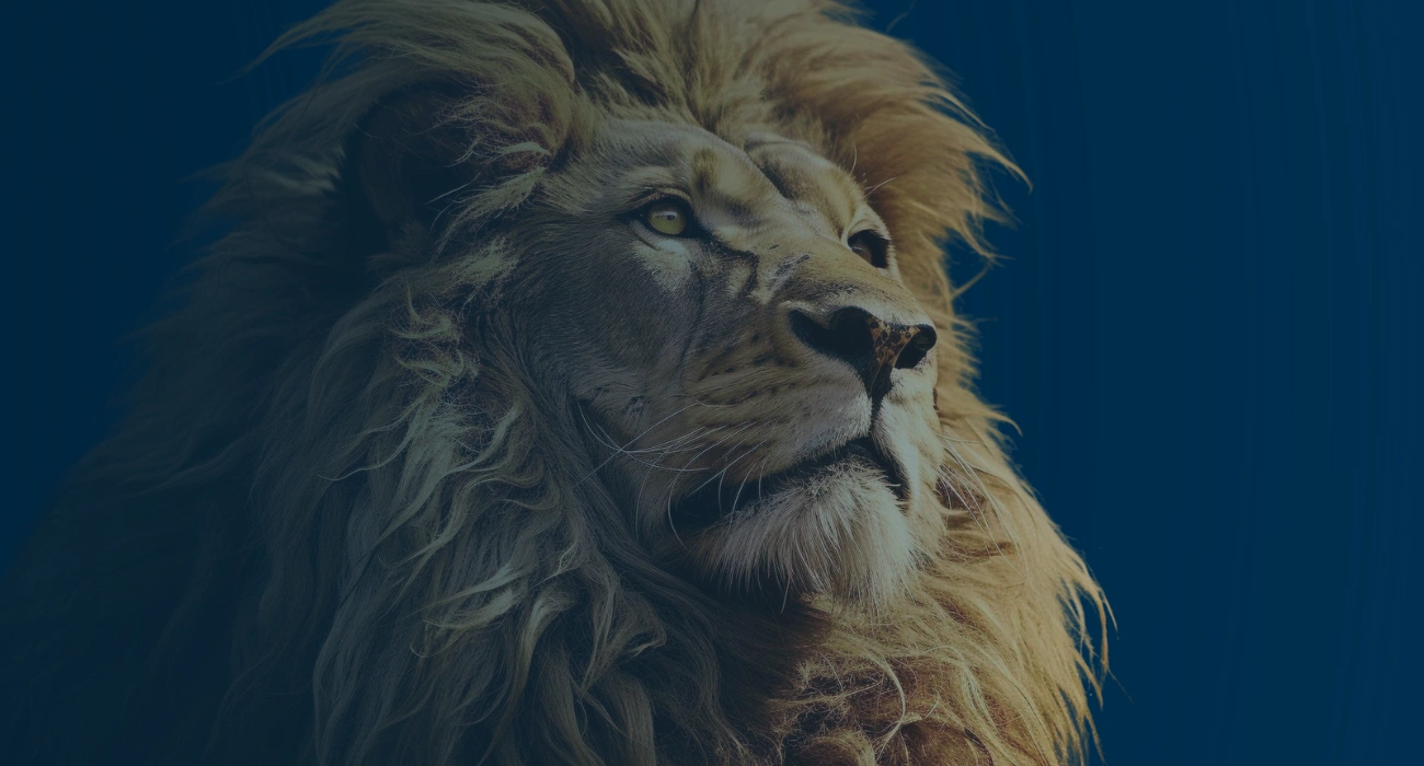 Como declarar o Imposto de Renda em 2025 - Capa